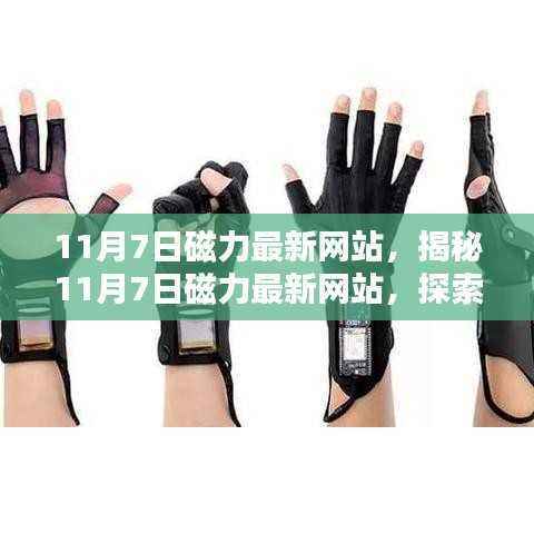 揭秘11月7日磁力最新网站，科技前沿信息的探索门户