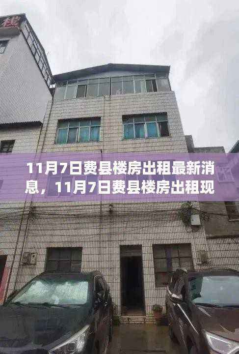 11月7日费县楼房出租市场深度解析,供求关系、市场趋势与个人立场探讨