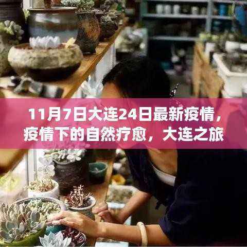 大连最新疫情下的自然疗愈之旅,心灵出走与归来的体验