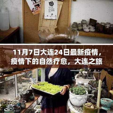 大连最新疫情下的自然疗愈之旅,心灵出走与归来的体验