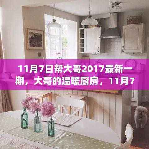大哥的温暖厨房,最新日常趣事回顾 11月7日帮大哥精彩瞬间