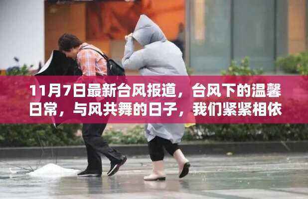 台风下的温馨日常,风雨共舞,相依相伴