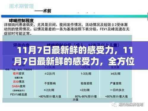 11月7日最新感受力,全方位指南助你掌握新技能与感受力提升的魅力体验