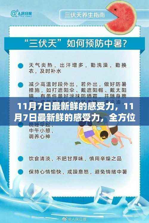 11月7日最新感受力,全方位指南助你掌握新技能与感受力提升的魅力体验
