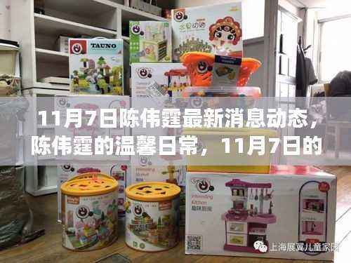 陈伟霆11月7日最新动态,阳光下的温馨日常与故事