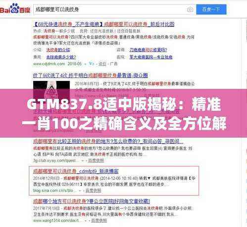 GTM837.8适中版揭秘:精准一肖100之精确含义及全方位解析