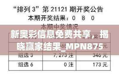 新奥彩信息免费共享,揭晓赢家结果_MPN875.52精简版