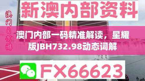 澳门内部一码精准解读，星耀版JBH732.98动态词解