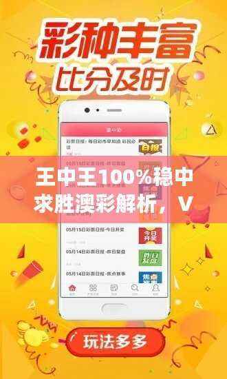 王中王100%稳中求胜澳彩解析,VEG809.24经济版深度解读