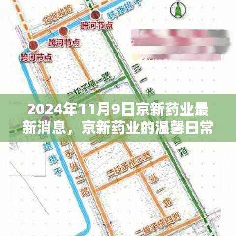 京新药业最新消息揭秘,日常温馨与深厚友情的奇妙际遇(2024年11月9日)