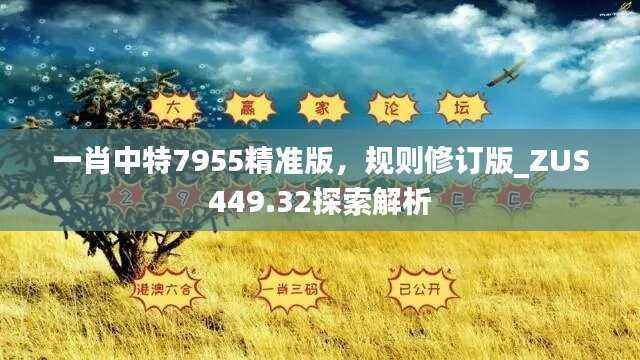 一肖中特7955精准版,规则修订版_ZUS449.32探索解析