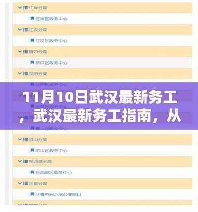 武汉最新务工指南,从入门到精通的详细教程(适合初学者与进阶用户)