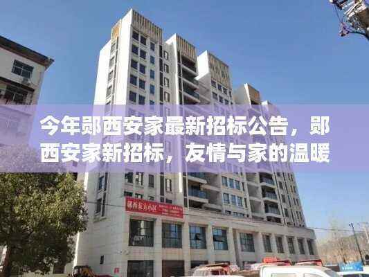 郧西安家最新招标公告,友情与家的温暖交织的日常