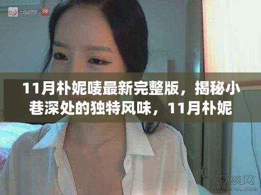 揭秘小巷深处独特风味,11月朴妮唛最新完整版体验之旅