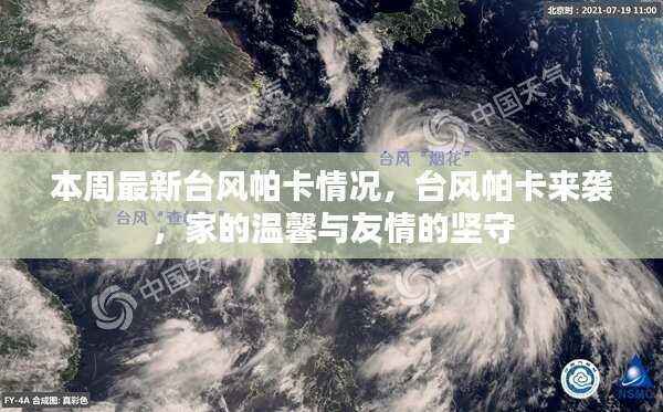 台风帕卡来袭,家的温馨与友情的坚守战