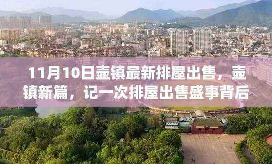 壶镇排屋出售盛事背后的时代印记与影响分析,最新排屋出售报道