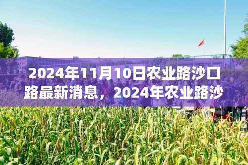 农业路沙口路最新动态评测及用户洞察,特性、体验与竞品对比(2024年11月)