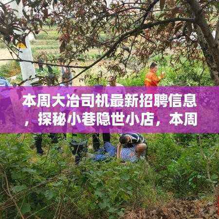 本周大冶司机最新招聘信息及小巷隐世小店探秘,领略独特环境魅力!