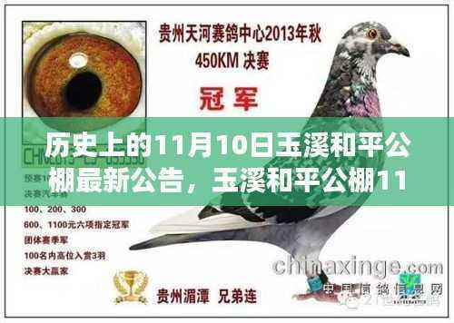 玉溪和平公棚公告背后的友情、陪伴与爱的传递——温馨故事揭晓日(11月10日)