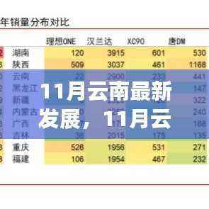 云南11月最新发展深度解析,特性、体验、竞品对比与用户洞察