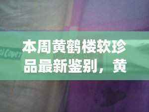 本周黄鹤楼软珍品最新鉴别指南，见证变化的力量与智慧魅力