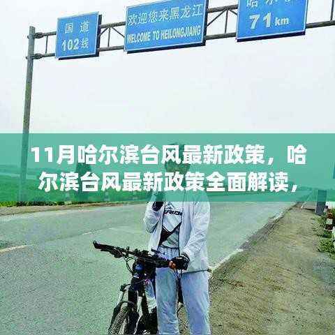 哈尔滨台风最新政策解读,特性、体验、竞品对比与用户分析