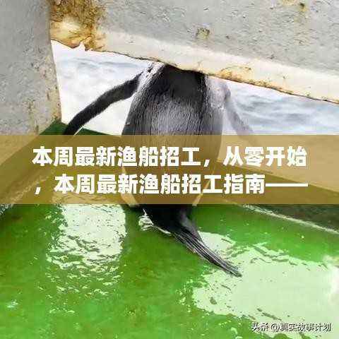本周最新渔船招工指南,从零开始,如何顺利应聘渔船工作岗位?