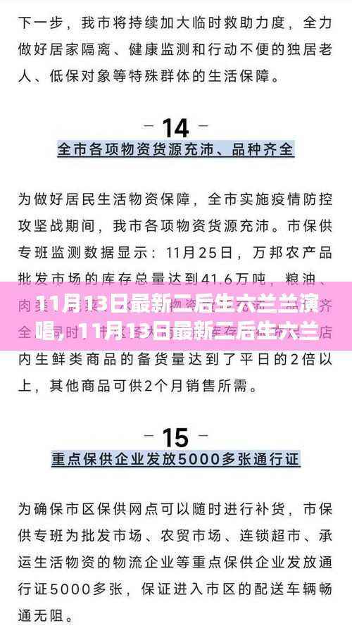 最新二后生六兰兰演唱深度解读，特性、体验与目标用户群体分析