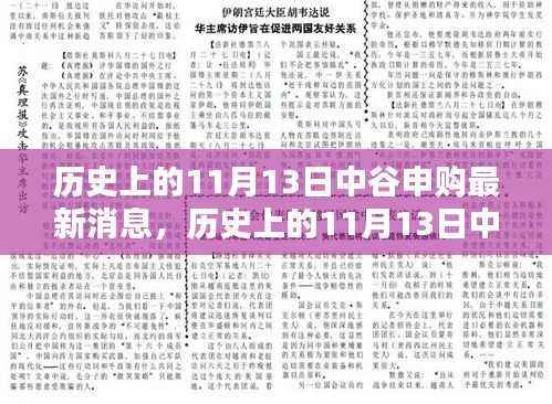历史上的11月13日中谷申购揭秘，科技新星重塑未来生活体验的最新消息