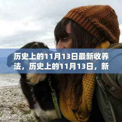 历史上的新收养法,心灵之旅与探寻自然美景的奇妙探险之旅