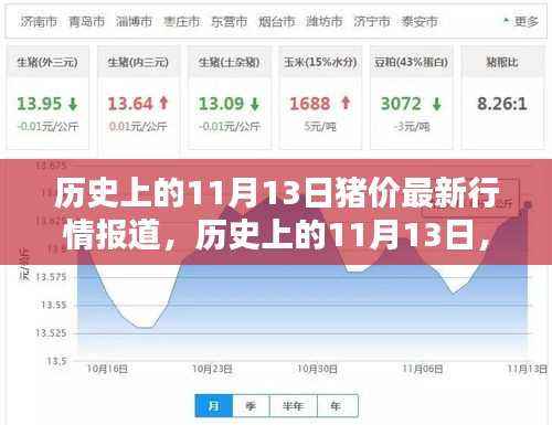 历史上的11月13日猪价行情深度解析与最新报道