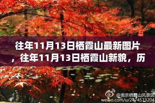 往年11月13日栖霞山,新貌与历史背景深度解析