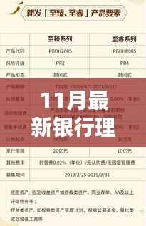 揭秘11月最新银行理财产品特性与体验,专业评测报告出炉!