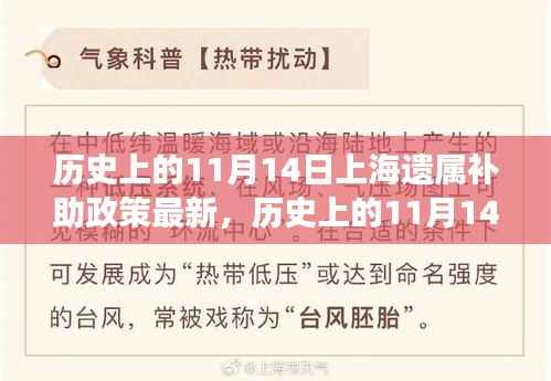 历史上的11月14日,上海遗属补助政策最新解读与观点探讨