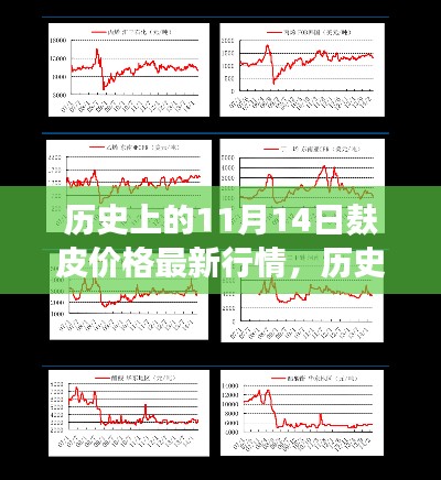 历史上的11月14日麸皮价格风云,新行情与智能市场重塑生活品质