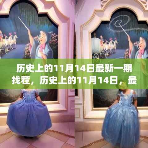 历史上的11月14日找茬之旅揭秘,最新一期精彩纷呈!