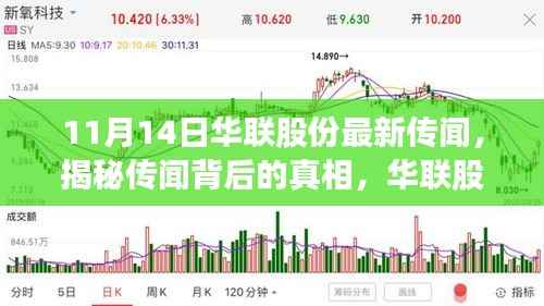 揭秘华联股份传闻真相,最新动态解析指南(适合初学者与进阶用户)