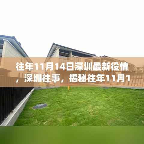 揭秘深圳往年11月14日疫情风云与特殊地位回顾往事的深度剖析