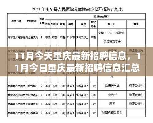 重庆最新招聘信息汇总与深度解读(11月版)