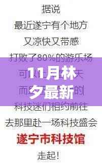 探寻词坛新韵，林夕作词的魅力与影响——十一月新篇