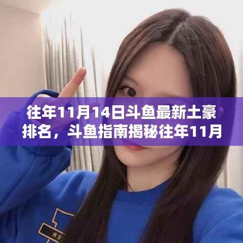 斗鱼土豪排名揭秘,往年11月14日斗鱼土豪榜单及查询技巧指南