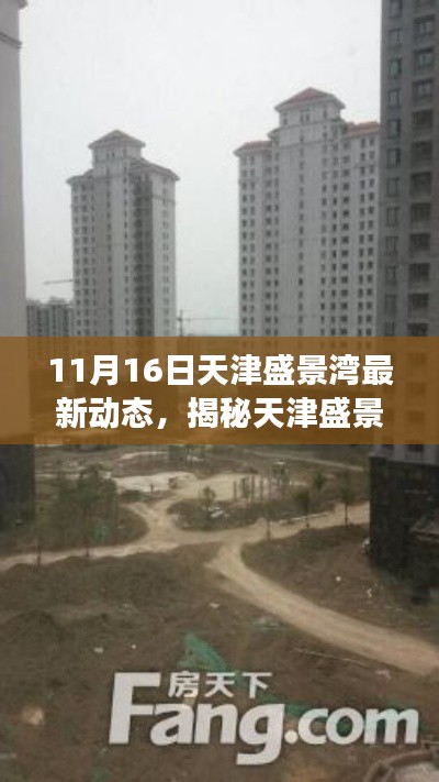 天津盛景湾最新进展揭秘，11月16日动态更新报告