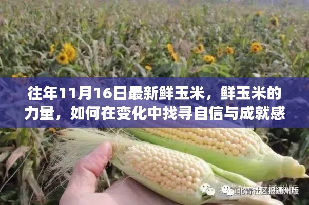 鲜玉米的力量,探寻自信与成就感的种子之旅