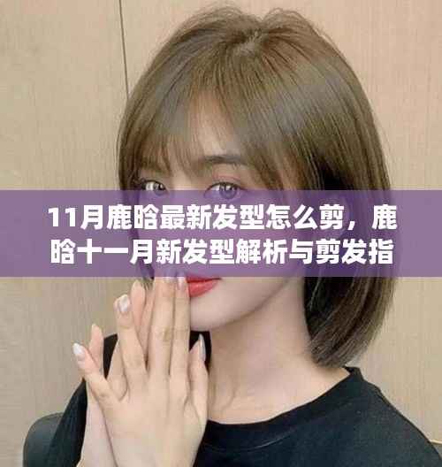 鹿晗最新发型解析与剪发指南,潮流视角与个人立场的十一月发型探讨