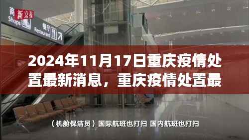 2024年11月17日重庆疫情处置回顾与展望，最新消息与动态