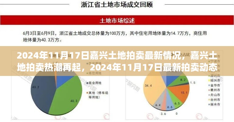 嘉兴土地拍卖热潮再起,最新动态揭秘