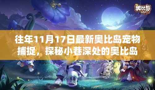 探秘奥比岛宠物捕捉秘籍店,独家记忆中的宠物捕捉之旅(11月17日更新)