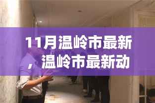 温岭市最新动态深度解析,产品特性、用户体验与目标用户揭秘