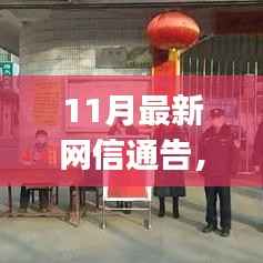 最新网信通告任务完成步骤指南,初学者与进阶用户必备指南