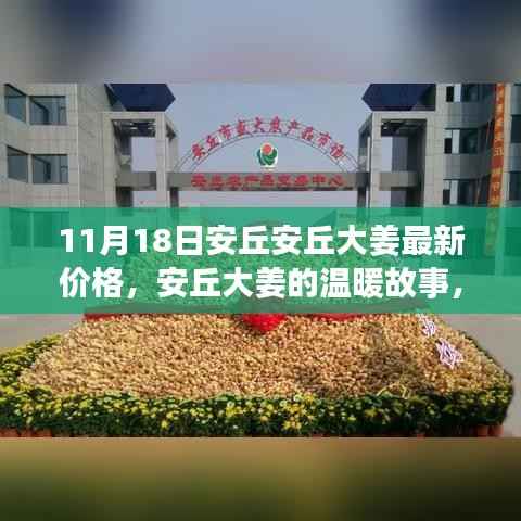 安丘大姜最新价格揭秘,友情、家庭与意外惊喜的温暖故事